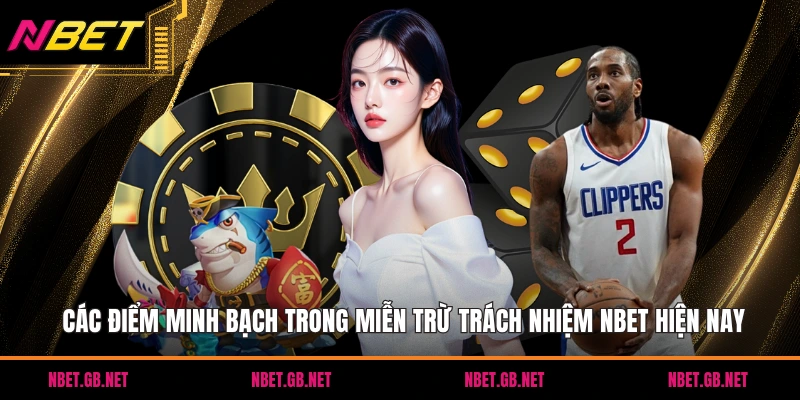 Các điểm minh bạch trong miễn trừ trách nhiệm NBET hiện nay
