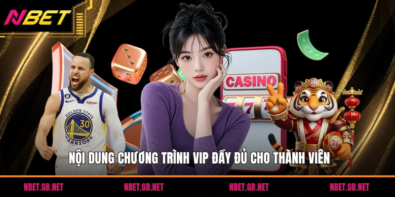 Nội dung chương trình VIP đầy đủ cho thành viên